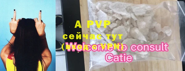 стафф Алексин