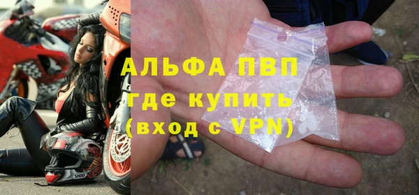 стафф Алексин