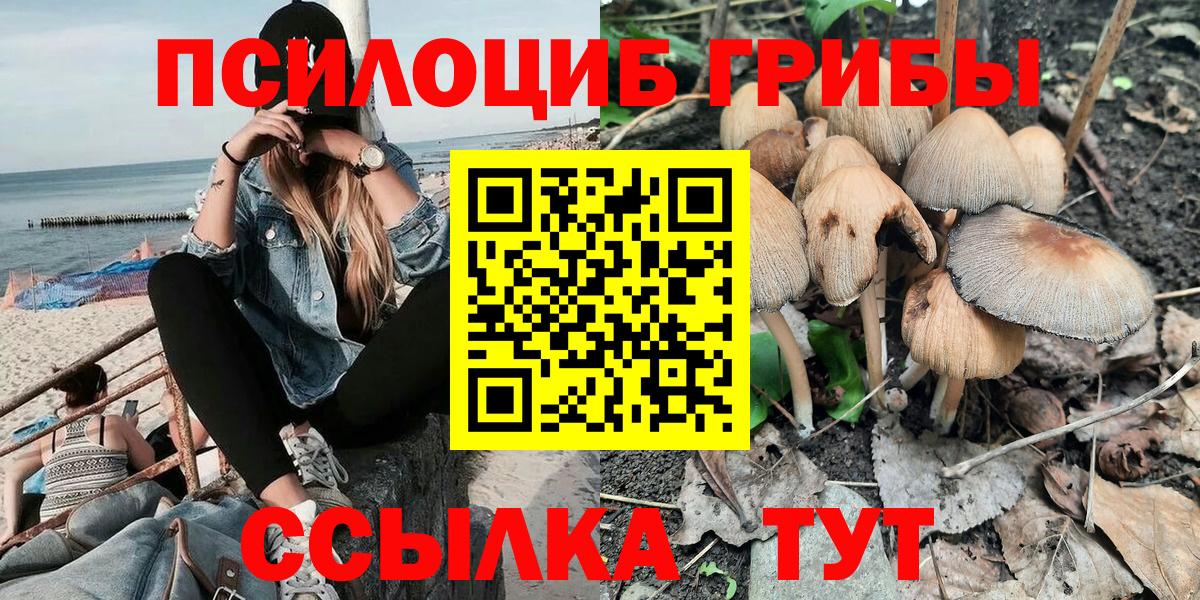 Псилоцибиновые грибы ЛСД  Вход с VPN  Звенигород 
