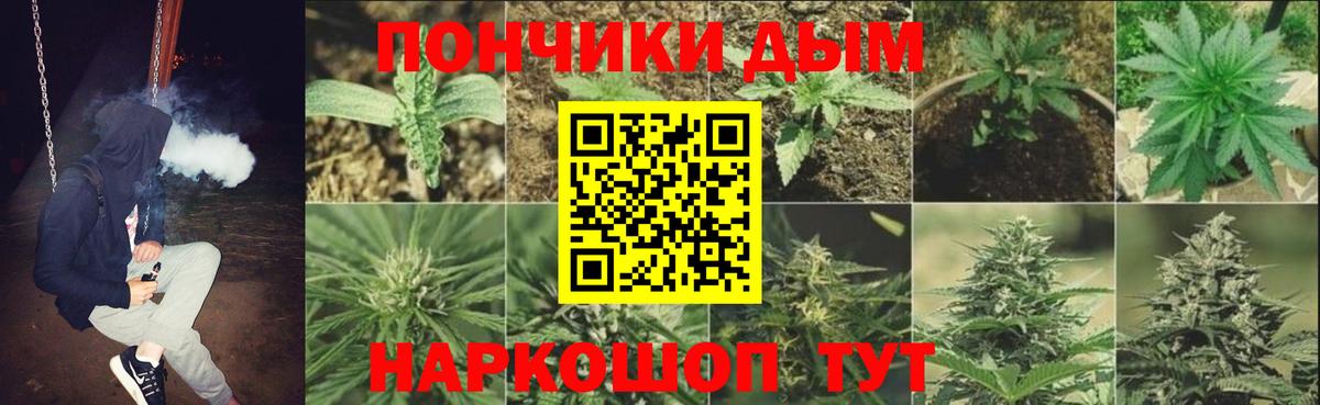 Конопля SATIVA & INDICA  Марихуана конопля  Звенигород  Вход с VPN  Каннабис VHQ 